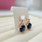 Gold Plated Earrings (E-38)