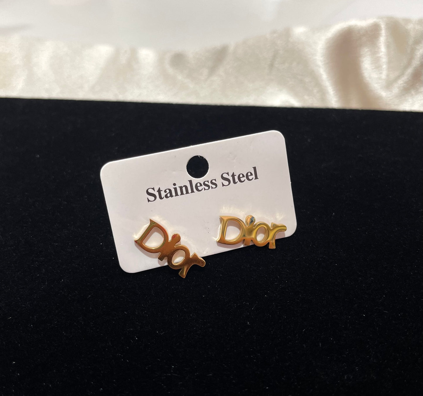 Stainless Steel Inspired Earrings (SE-1)