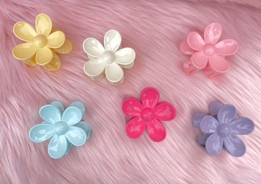 Hairclips - B45