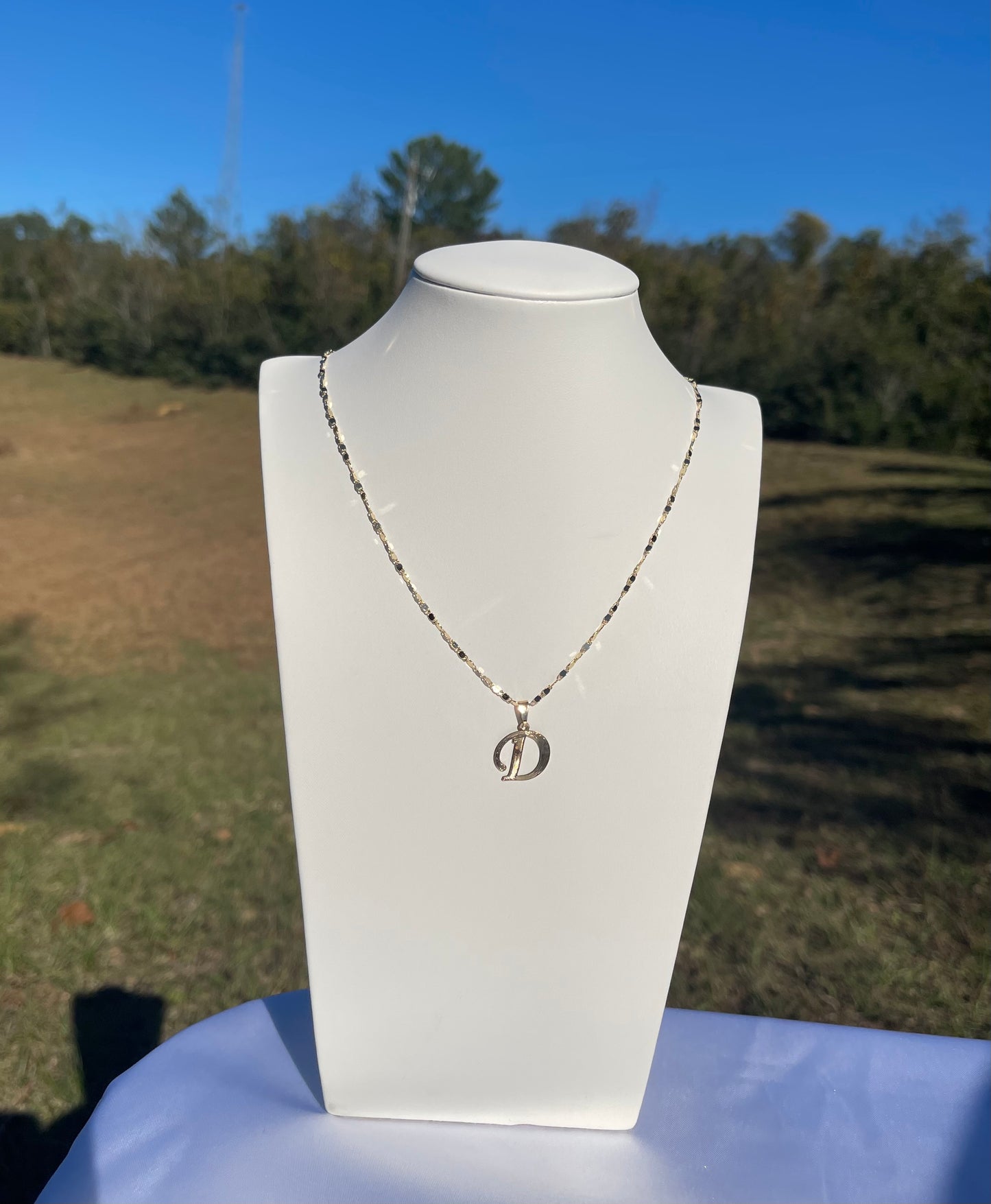 P59 - Thin Small Initial Necklace - D