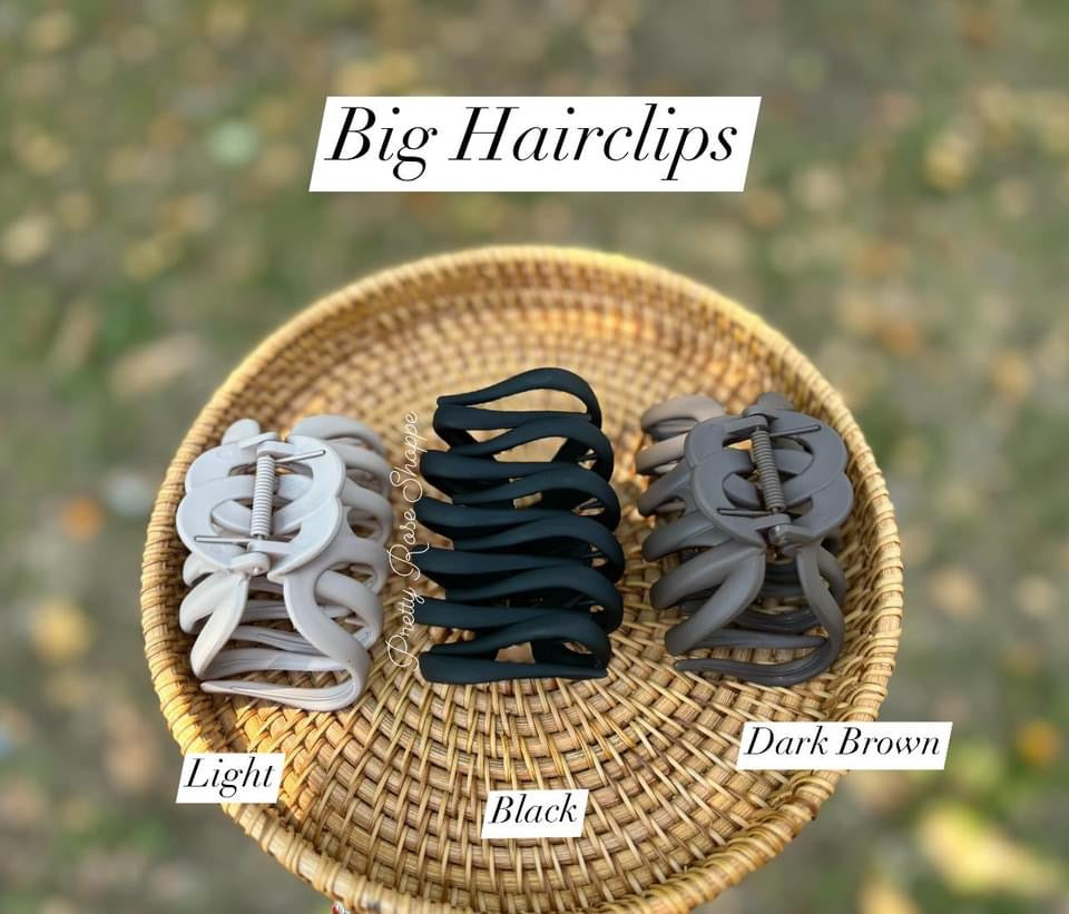 Hairclips - B15