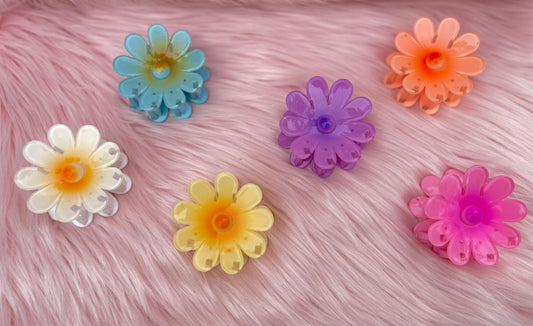 Hairclips - B44