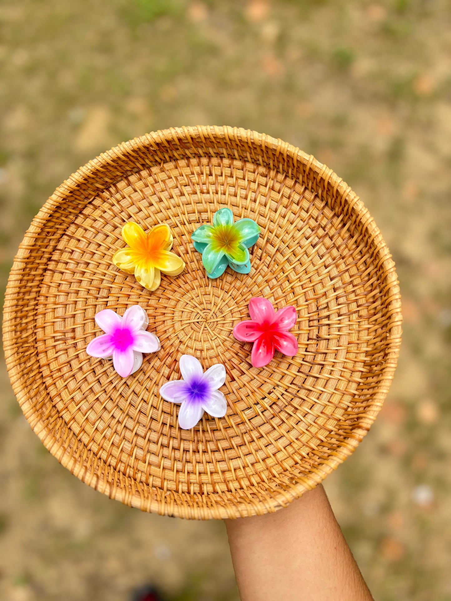 Hairclips