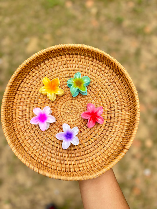 Hairclips