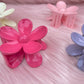 Hairclips - B45