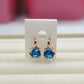 Gold Plated Earrings (E-41)