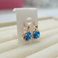 Gold Plated Earrings (E-41)