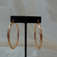 Gold Plated Hoops (H-34)