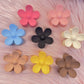 Hairclips - B46