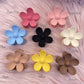 Hairclips - B46