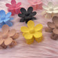 Hairclips - B46