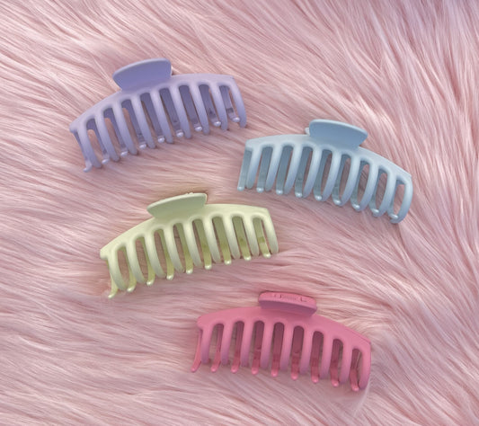 Hairclips - B54