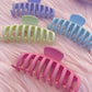 Hairclips - B54